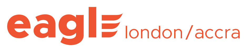 Eagle Networks Logo